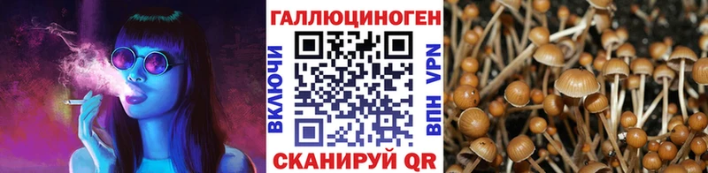 Псилоцибиновые грибы ЛСД OMG ССЫЛКА Нефтегорск